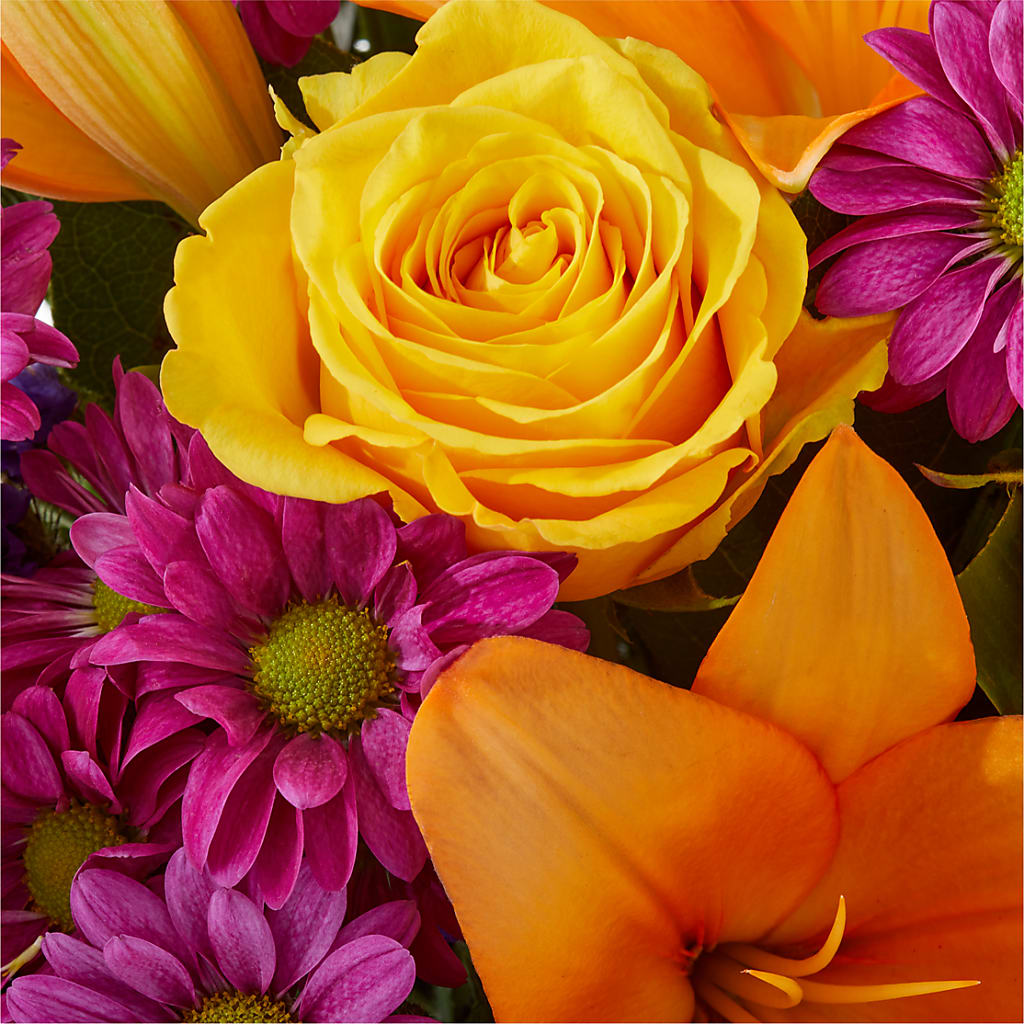 Colorful Visions Bouquet –  Citiflowers, Silver Spring MD