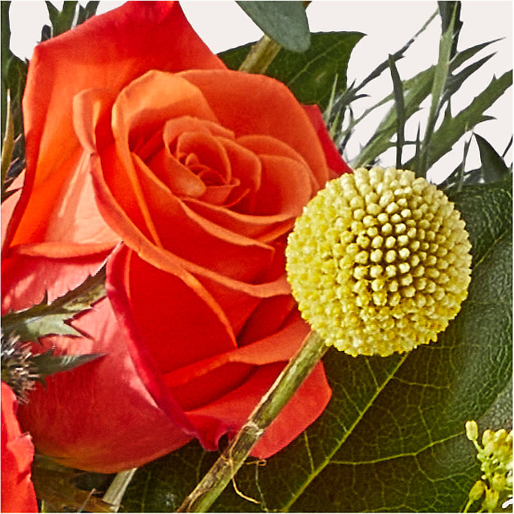 Disco Bouquet –  Citiflowers, Silver Spring MD