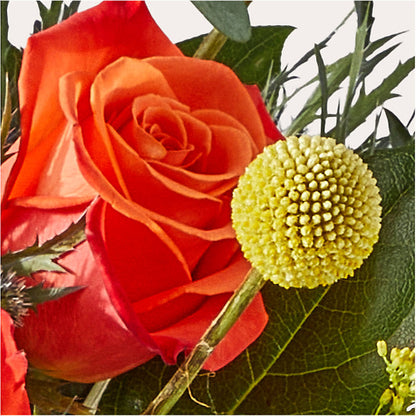 Disco Bouquet –  Citiflowers, Silver Spring MD