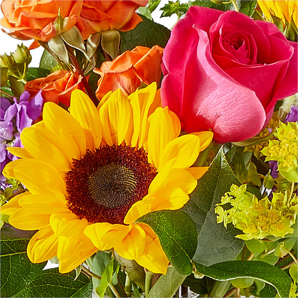 Vibrant Greetings Bouquet –  Citiflowers, Silver Spring MD