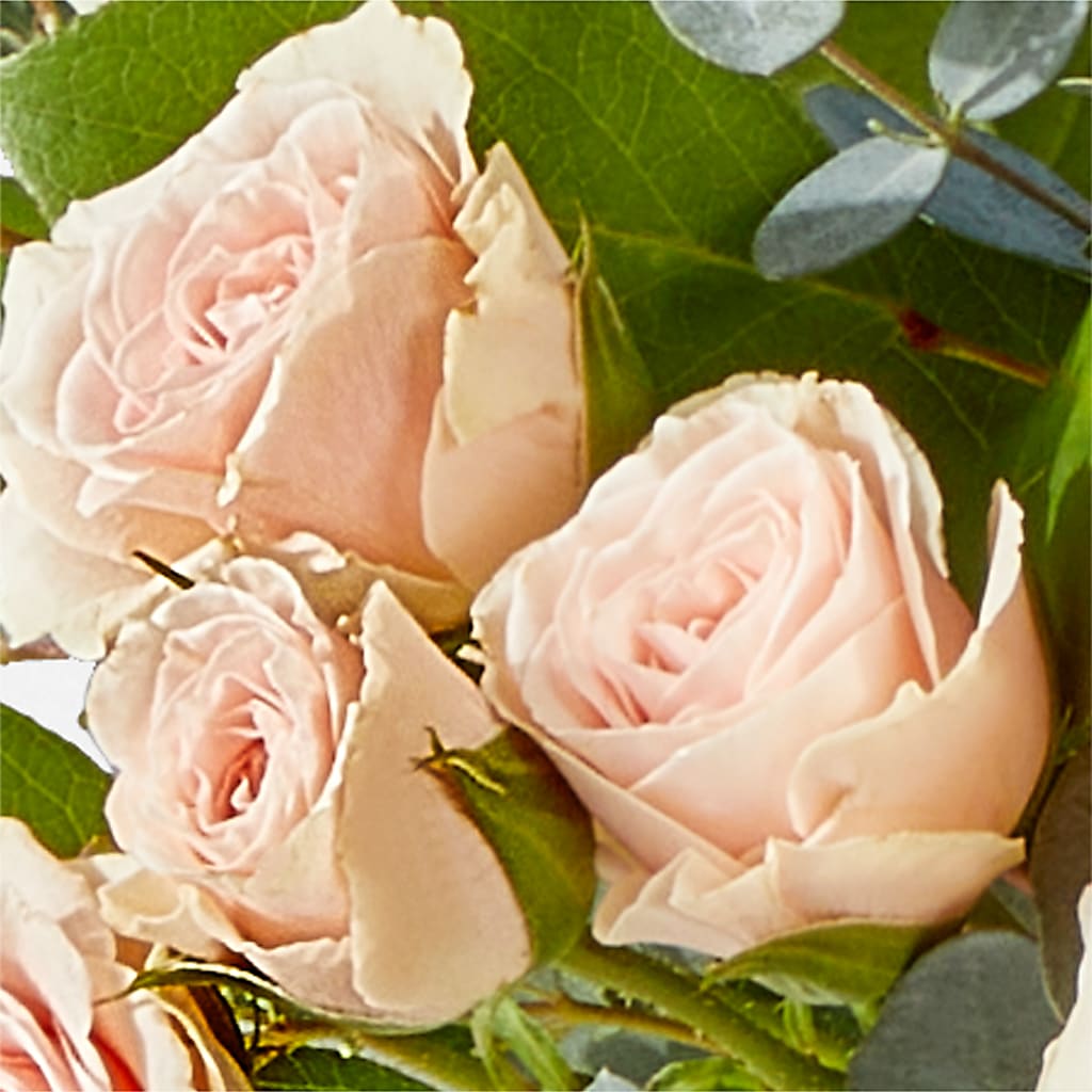 Inspired Bouquet –  Citiflowers, Silver Spring MD
