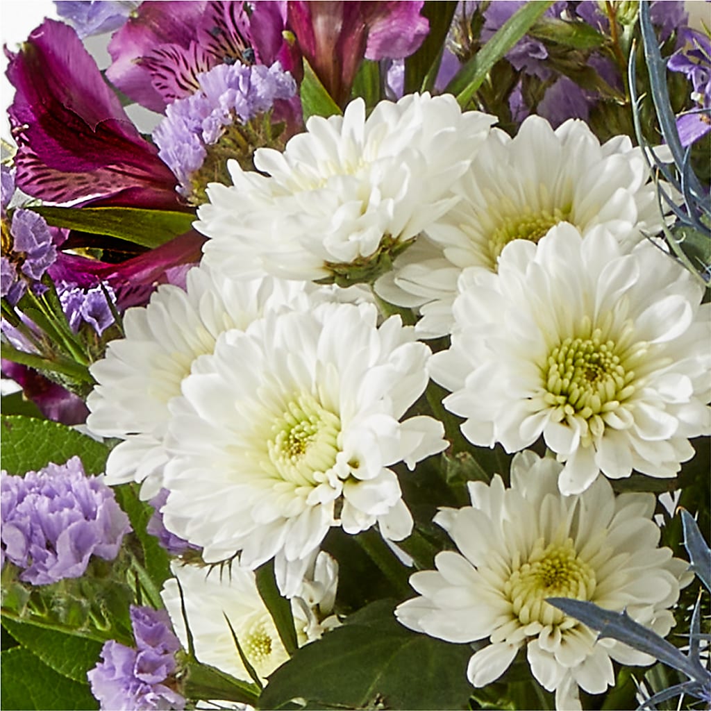 Shooting Star Bouquet –  Citiflowers, Silver Spring MD