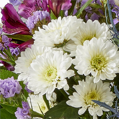Shooting Star Bouquet –  Citiflowers, Silver Spring MD