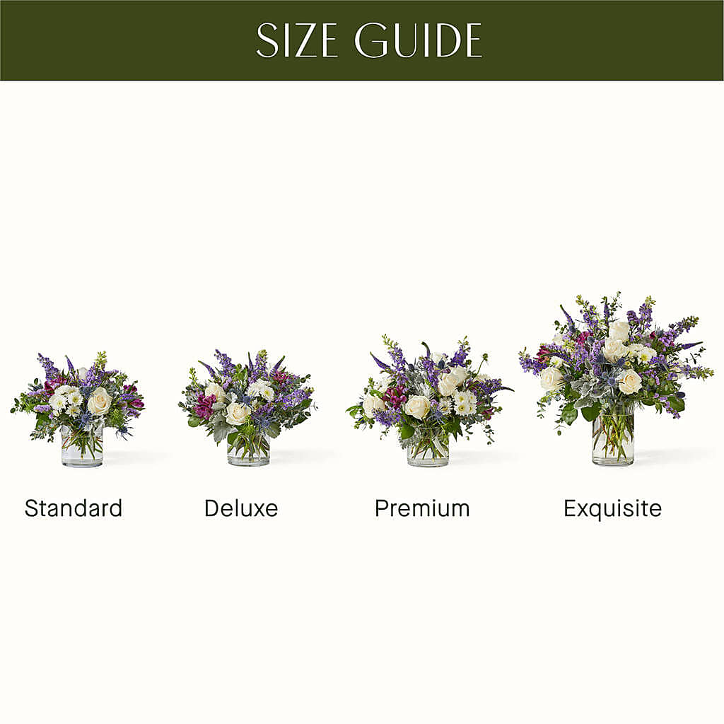Shooting Star Bouquet –  Citiflowers, Silver Spring MD