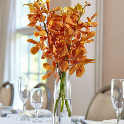 Orange Mokara Bud Vase –  Citiflowers, Silver Spring MD