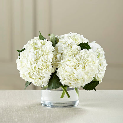 White Hydrangea Bouquet –  Citiflowers, Silver Spring MD