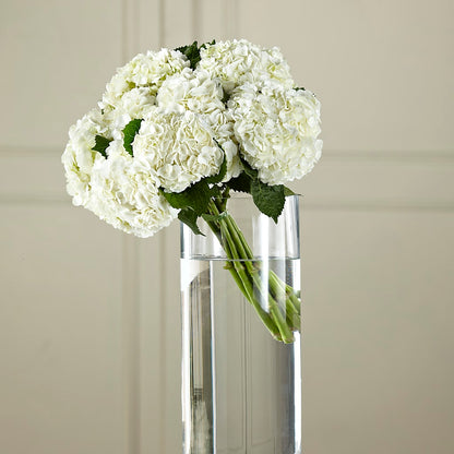 White Hydrangea Hand-Tied Bouquet –  Citiflowers, Silver Spring MD